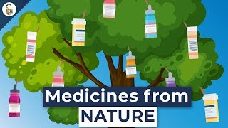 Lifesaving Medicines Made From Plants You&#39;ve Never Heard Of