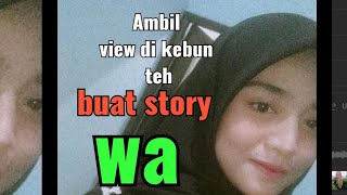 Cara Ambil view buat story wa di kebun teh kuy...