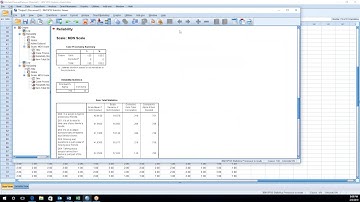 SPSS Cronbach Alpha Reliability