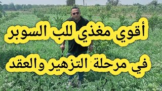 أقوي مغذي للب السوبر بطيخ اللب في مرحلة التزهير والعقد و أعلي إنتاج للفدان