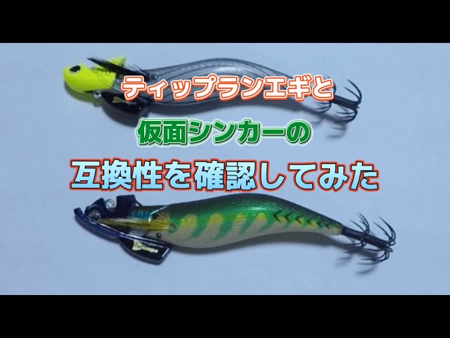 ティップランエギと仮面シンカーの互換性を確認してみた - YouTube