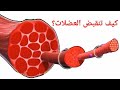 آلية الإنقباض العضلي 