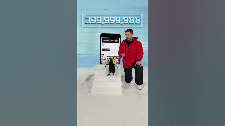 Can I Teach a Penguin to Subscribe - #mrbeast #mrbeastshorts #mrbeastchallenge #mrbeastgiveaway