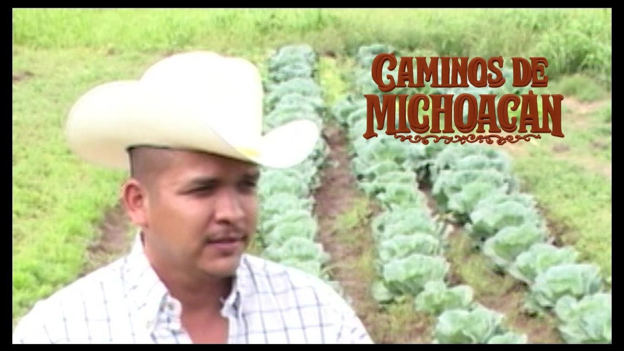 EL VALE DEL SUR  -  CAMINOS DE MICHOACAN