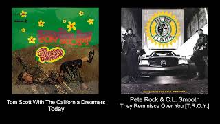 VISIONEERS / PETE ROCK - T.R.O.Y. ネタカバー Pete Rock & C.L. Smooth – They Reminisce Over You (T.R.O.Y.