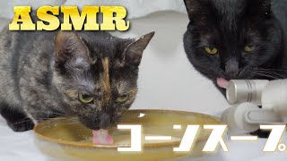 【ASMR】コーンスープを飲む猫のペロペロ咀嚼音