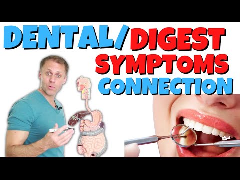 Are My Digestive