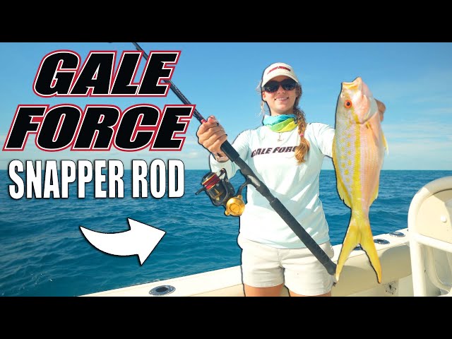 The Inshore Reef Slayer Rod  Fishing with Gale Force Snapper Rod 