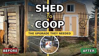 We Turned a Tuff Shed Into a Chicken Coop | Chicken Coop Makeover for Our Flock