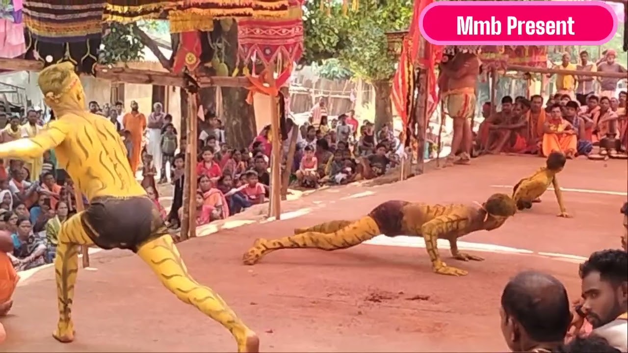 Ratanga //danda//langala hana//and //tiger ରତଙ୍ଗ//ଦଣ୍ଡ //ଲଙ୍ଗଳ ହଣା //and //ବାଘ 