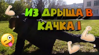 ИЗ ДРЫЩА В КАЧКА 1