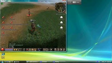 Metin2.uS FuriousPuma Hack