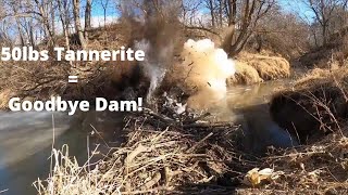 Tannerita vs. Múltiples Presas de Castor (recopilación)