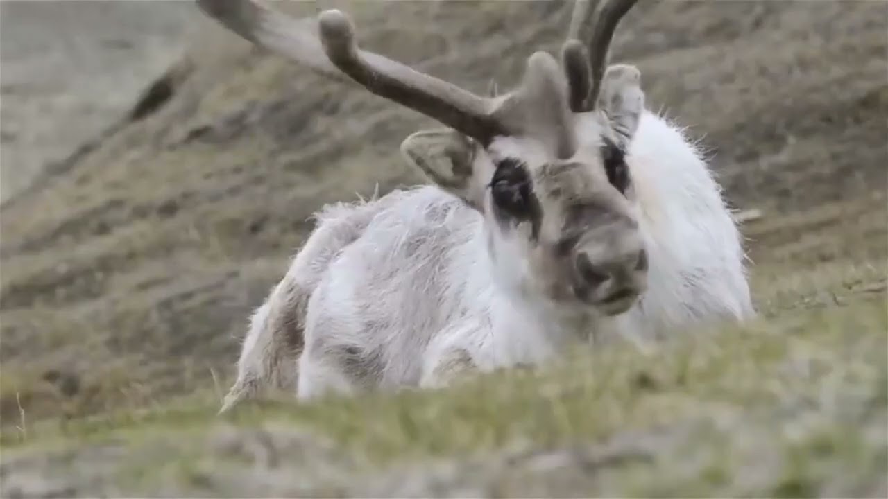 "The Ultimate Norway Bucket List: Top 10 Places to Visit"