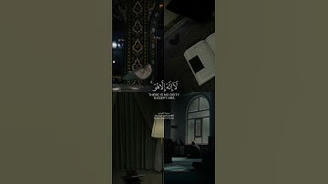 ولا يصدنك عن آيات الله بعد إذ أنزلت إليك | سورة القصص | ياسر الدوسري