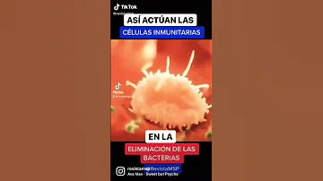 ¿Qué virus ataca a los glóbulos blancos?