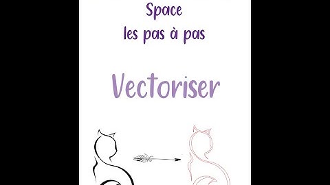 Silhouette studio : Vectoriser