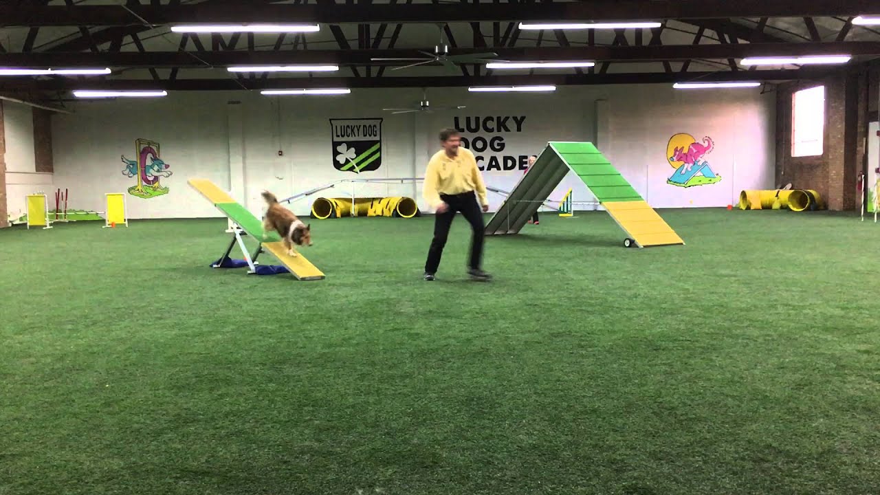 Dec 6 UKI Trial at Lucky Dog Academy YouTube