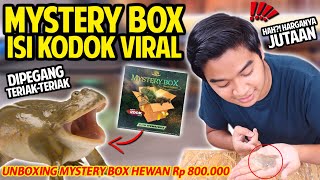 UNBOXING MYSTERY BOX! BUDGETT FROG! THE SCREAMING FROG!