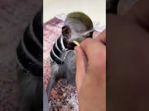 انا لو مخلف عيل مش هعامله كدا