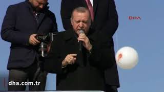Cumhurbaşkanı Erdoğan:'Aslanlar sahaya çıkınca, çakallara kuyruğunu kıstırıp kaçmak düşer'