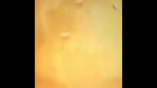 Hitler works at krusty krabs