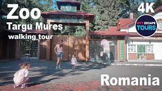 Zoo Targu Mures, ROMANIA 🇷🇴 Walking tour | (4k UHD 60fps) May 2022