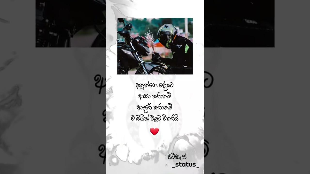 Bike status for Bike Lovers.😍😍😊 YouTube