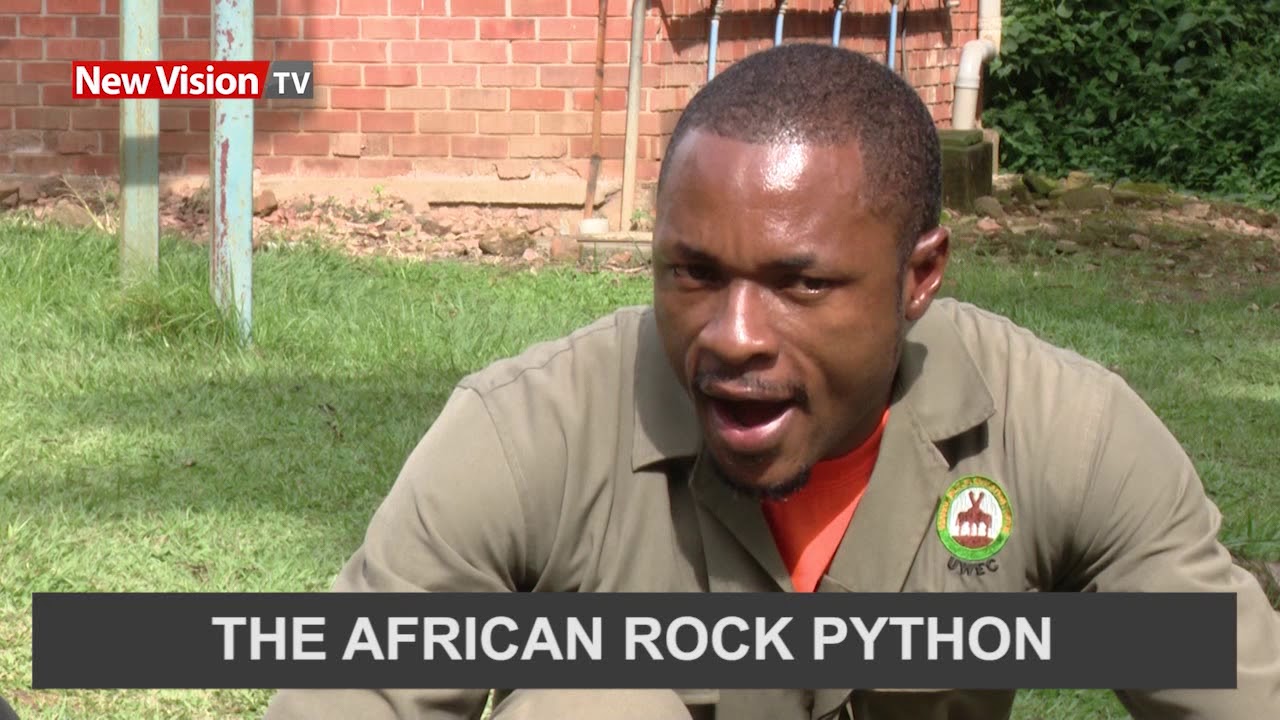 oppositional defiant disorder News around Uganda