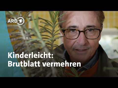 Horst sein Schrebergarten - YouTube