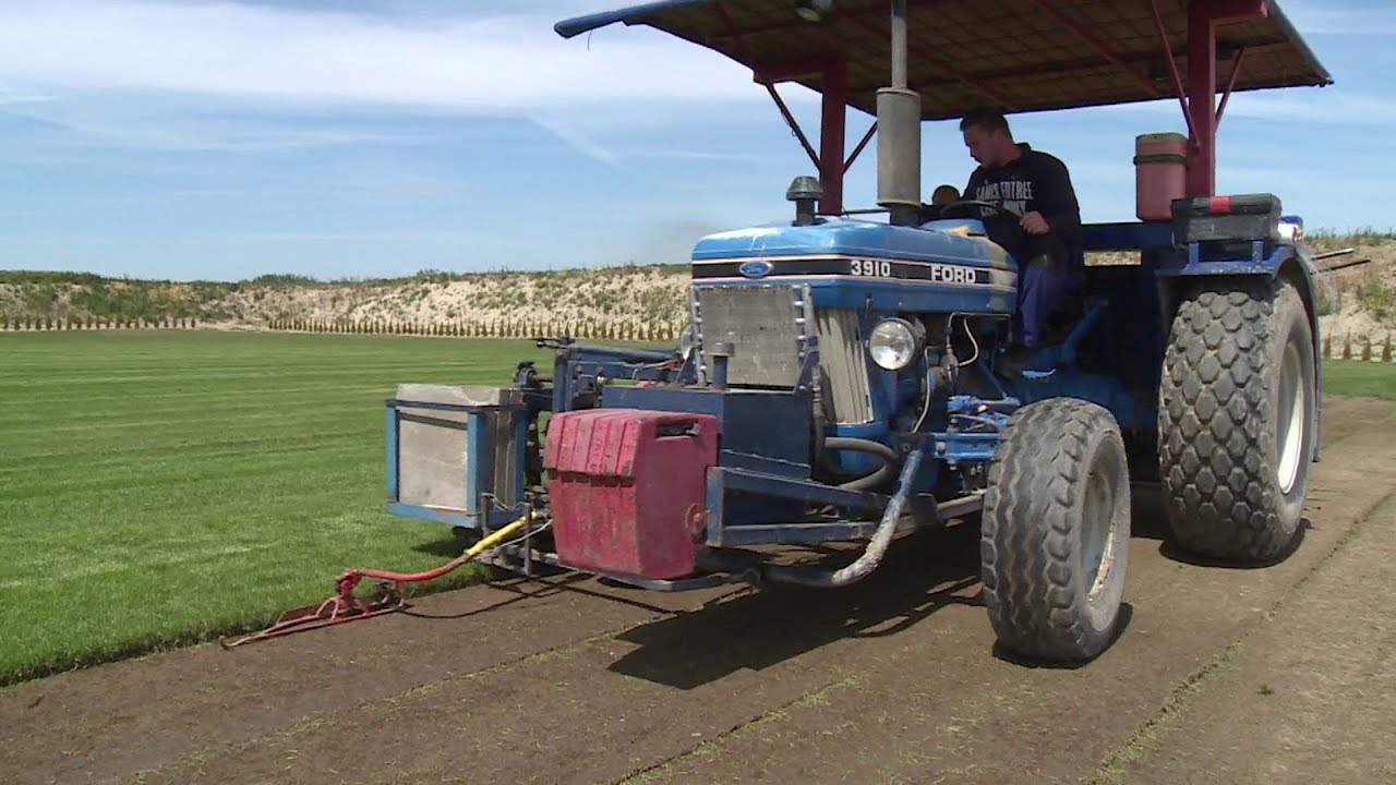 Kertbarát - így készül a gyepszőnyeg!