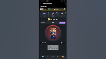 Hamster kombat daily 1M cipher code 30/june/2024#👍🏻