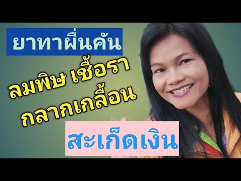 ยาทาแก้ผื่นคัน ลมพิษ เชื้อรา กลากเกลื้อน สะเก็ดเงิน | ละม่อม พยาบาลหลานย่าโม