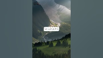 آية من سورة الزمر / القرآن الكريم | مسلم muslim