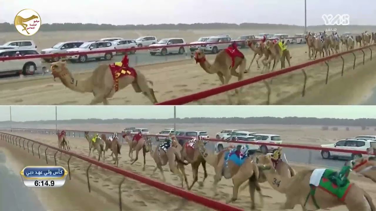 الشوط 3 (مبشره) لـ مبارك هدي دميثان الشامسي 9:01:01 , مهرجان سمو ولي عهد دبي 2023/1/10 ايذاع المرموم