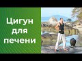 Цигун для печени. Цигун для начинающих. Уроки цигун.