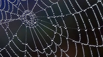 Hexawise - Pairwise and Combinatorial Testing Tool