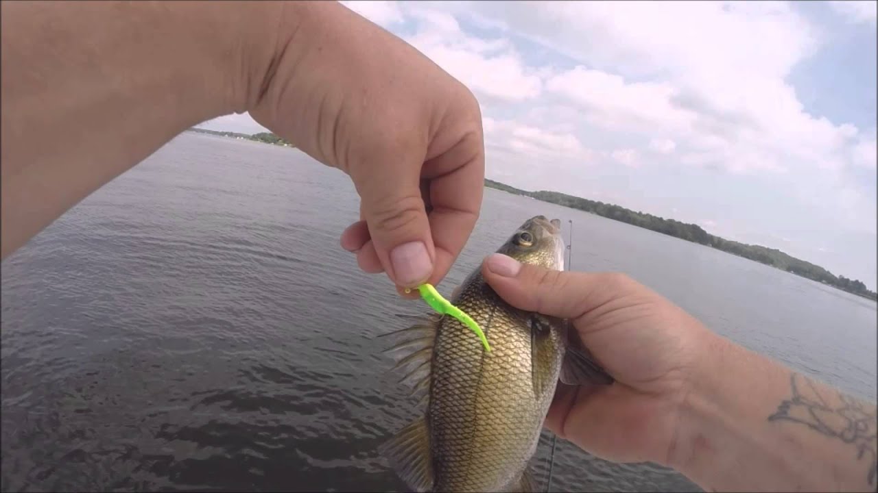 A day with Bust Em' Baits