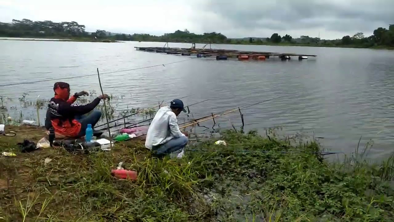 Kail kecil mana mampu naikan ikan nila gede...moccel bro