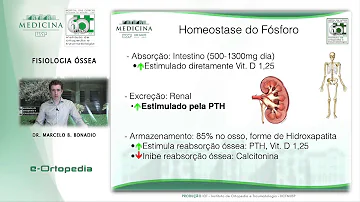 Cosa vuol dire rimodellamento osseo?