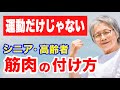 【運動以外で筋力アップ】シニア・高齢者が筋力を保つ方法