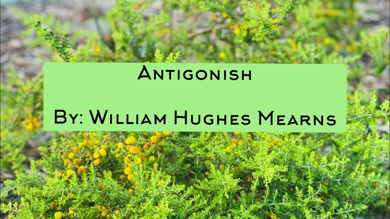 Poem Antigonish by William Hughes Mearns YouTube