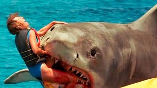 9 Unglaubliche Hai-Angriffe, die du nicht glauben wirst!