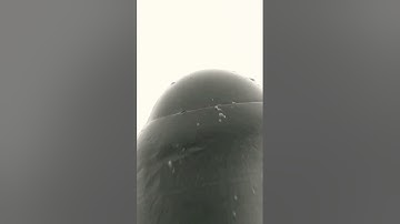 Infinite Plane Pen Loop #loop #transition #macro #microscope #zoom #infinite #relax #satisflying