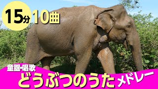 動物のうた・童謡メドレー〈15分10曲〉0~3歳児におすすめぞうさん♪【途中スキップ広告ナシ】アニメーション/日本語歌詞付き_Sing a medley ofJapanese song