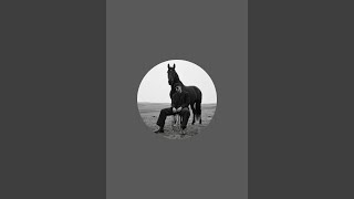 VK  is live