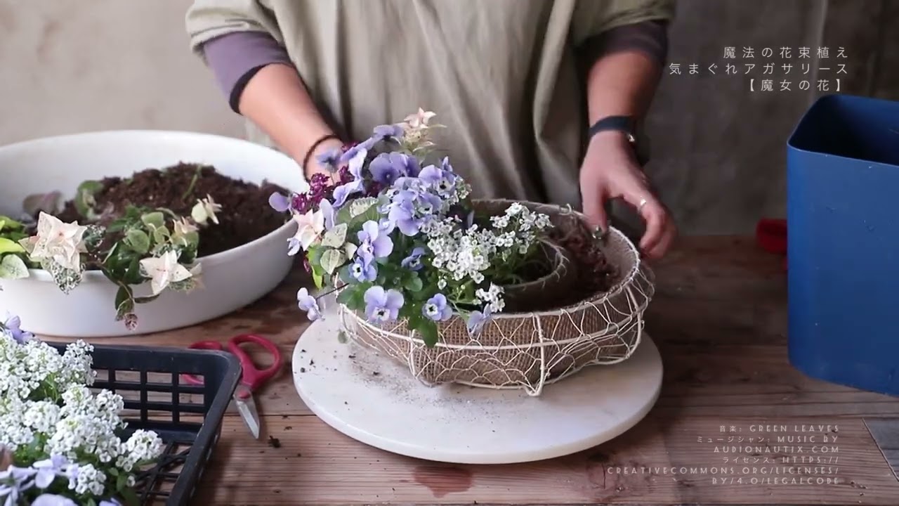 魔法の花束植えギャザリングフラワーNo.10 気まぐれアガサの生きているリース