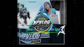 Firework Jungle Dutch Kane Npvlog Reborn X Zoe Family