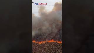 🚨 Wildfire with ZERO CONTAINMENT spreading fast in AZ🔥😳 🚨