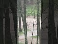 nashville flood